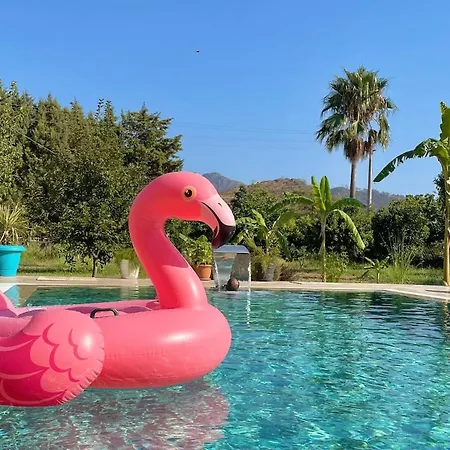 Βίλα Big With Pool In *
